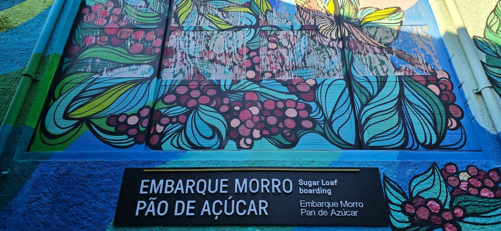 rio15.jpg