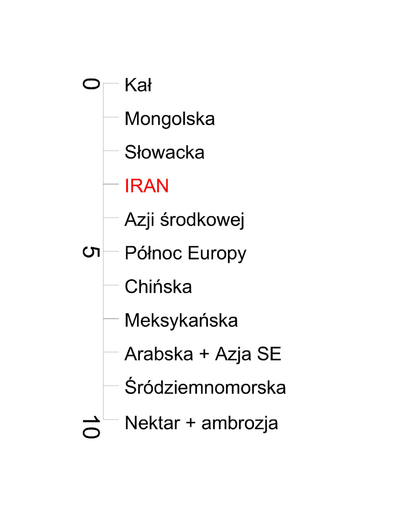 844 vport PZT + sytu rużne-Układ1.jpg