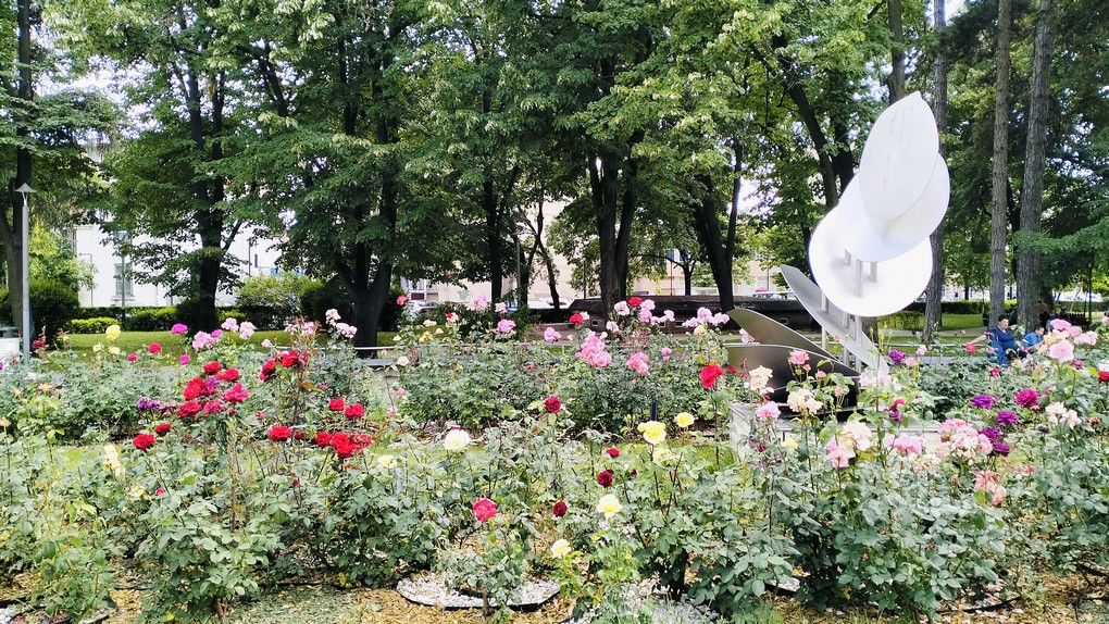 Balkany 228.jpg