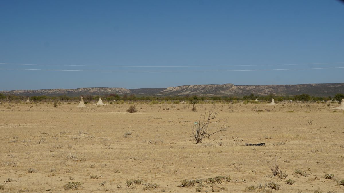 DSC09475.JPG