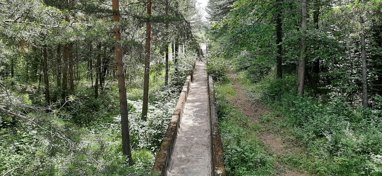 20240622_101822.jpg