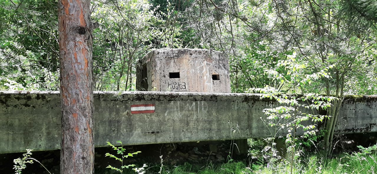 20240622_124928.jpg