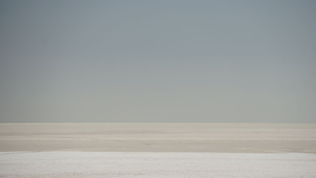DSC09930.JPG
