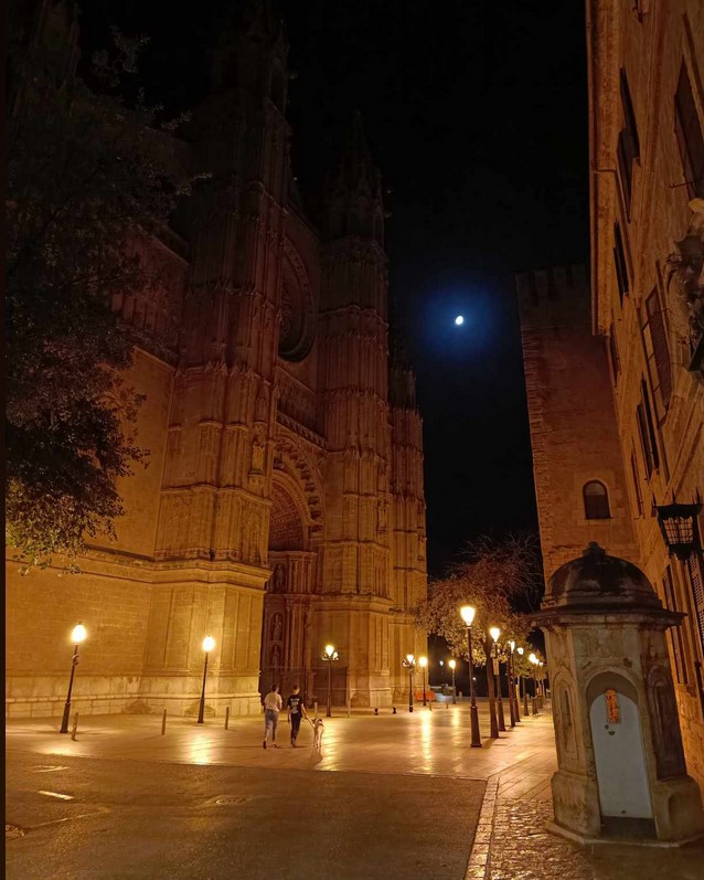 p10.jpg