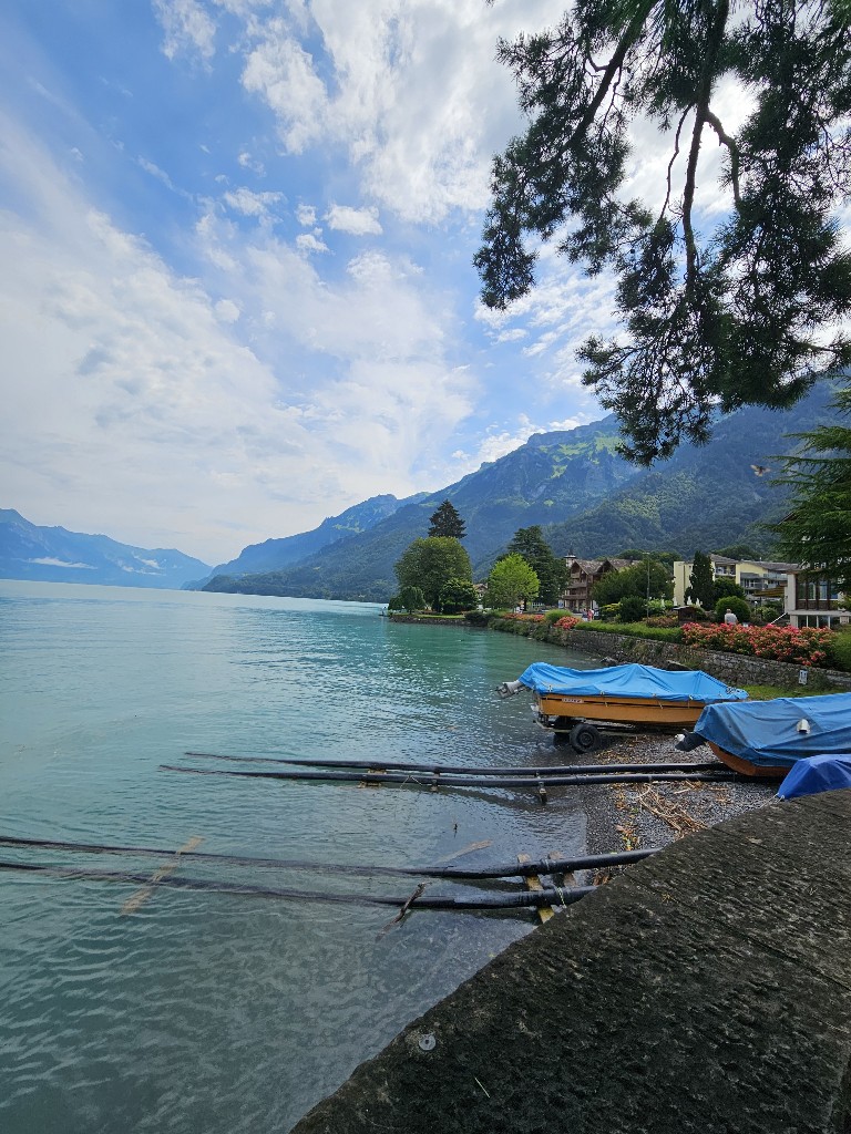 20240721_120136_copy_768x1024.jpg
