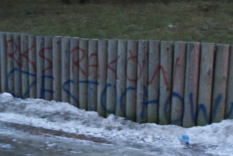 DSC06868.JPG