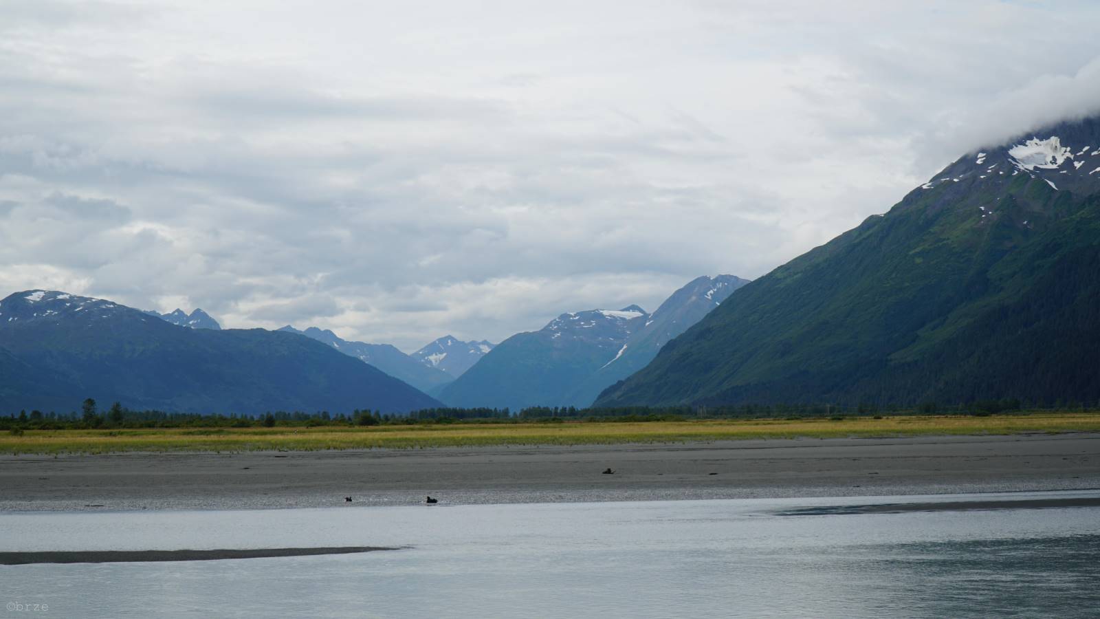 DSC00707.JPG