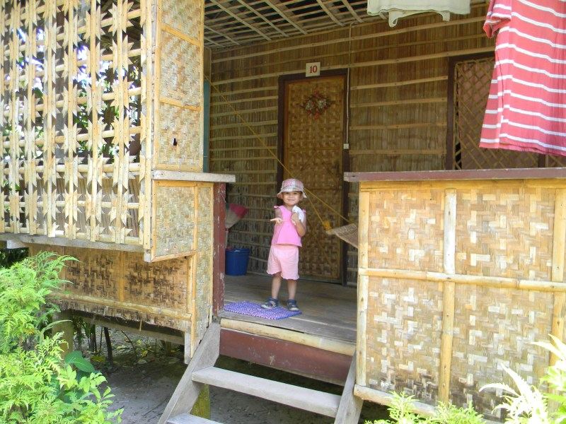pic1.jpg