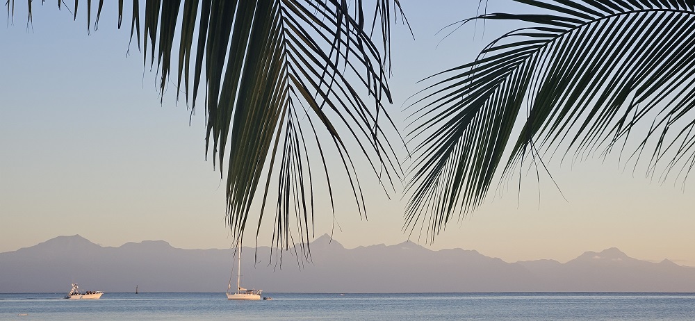 LaCeiba.jpg