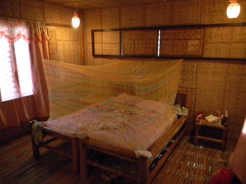 apic3.jpg