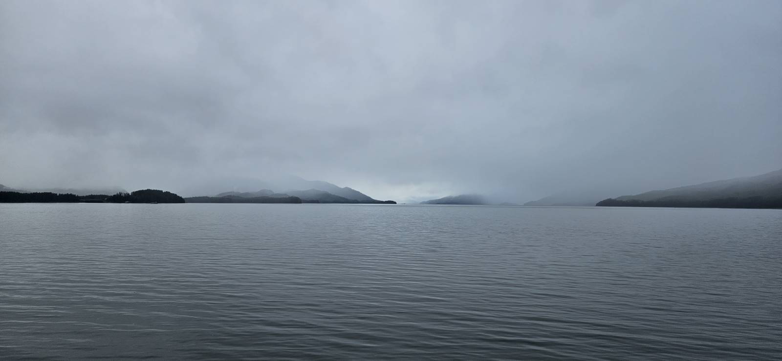 20240828_095030.jpg