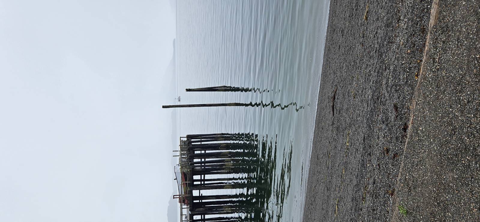 20240828_095443.jpg