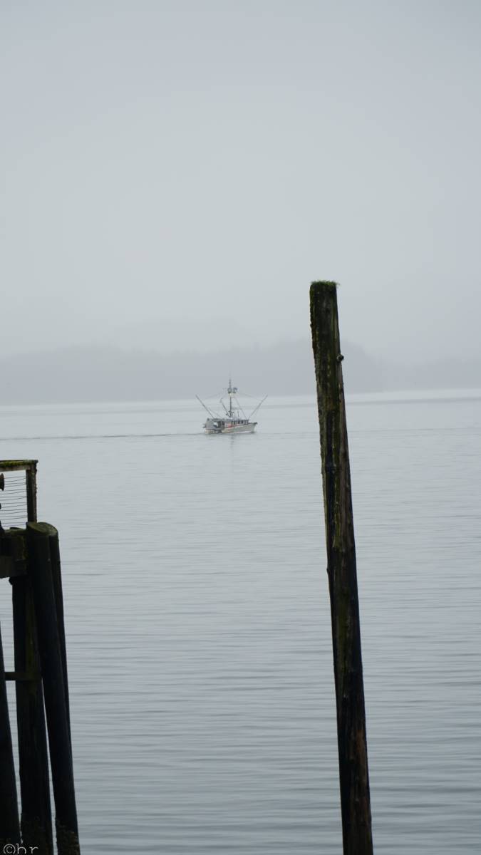 DSC00855.JPG