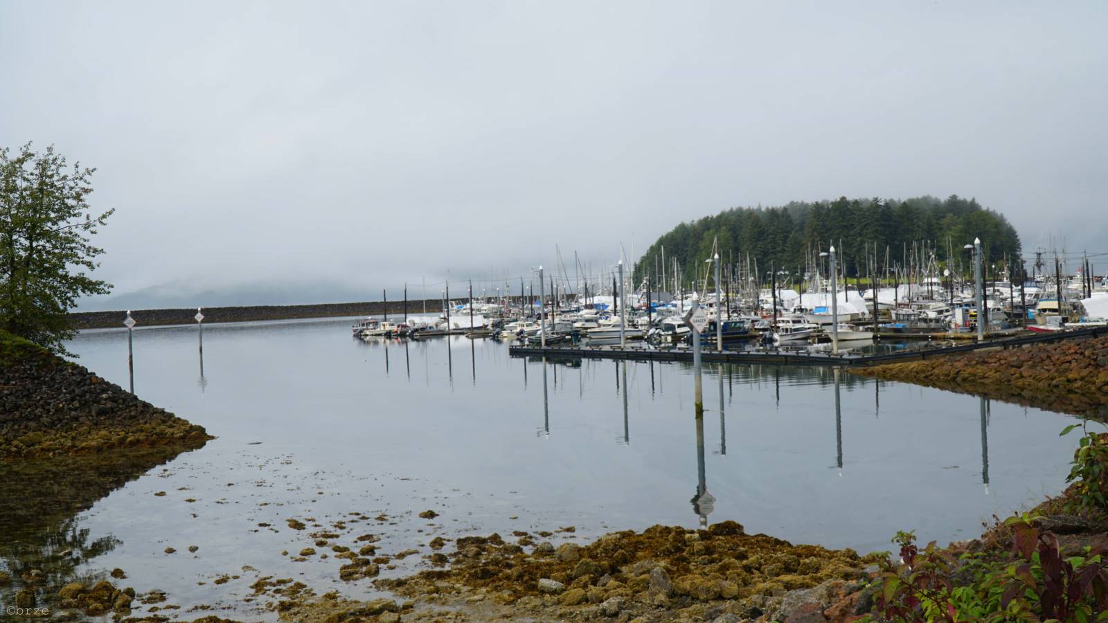 DSC00865.JPG
