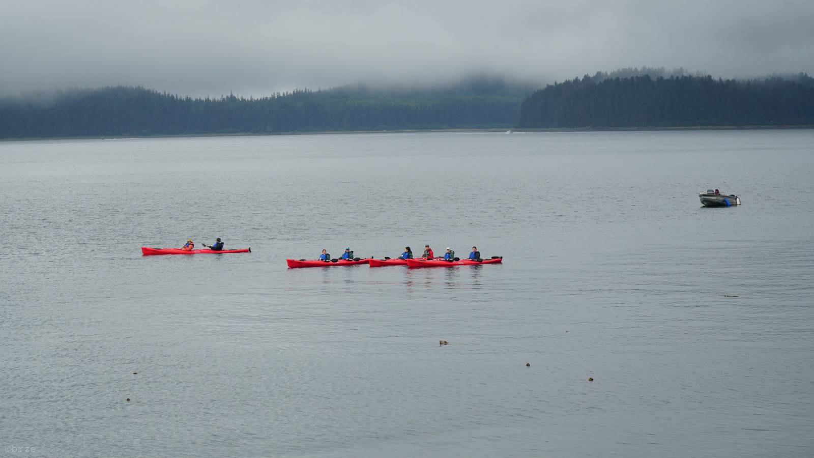 DSC00877.JPG