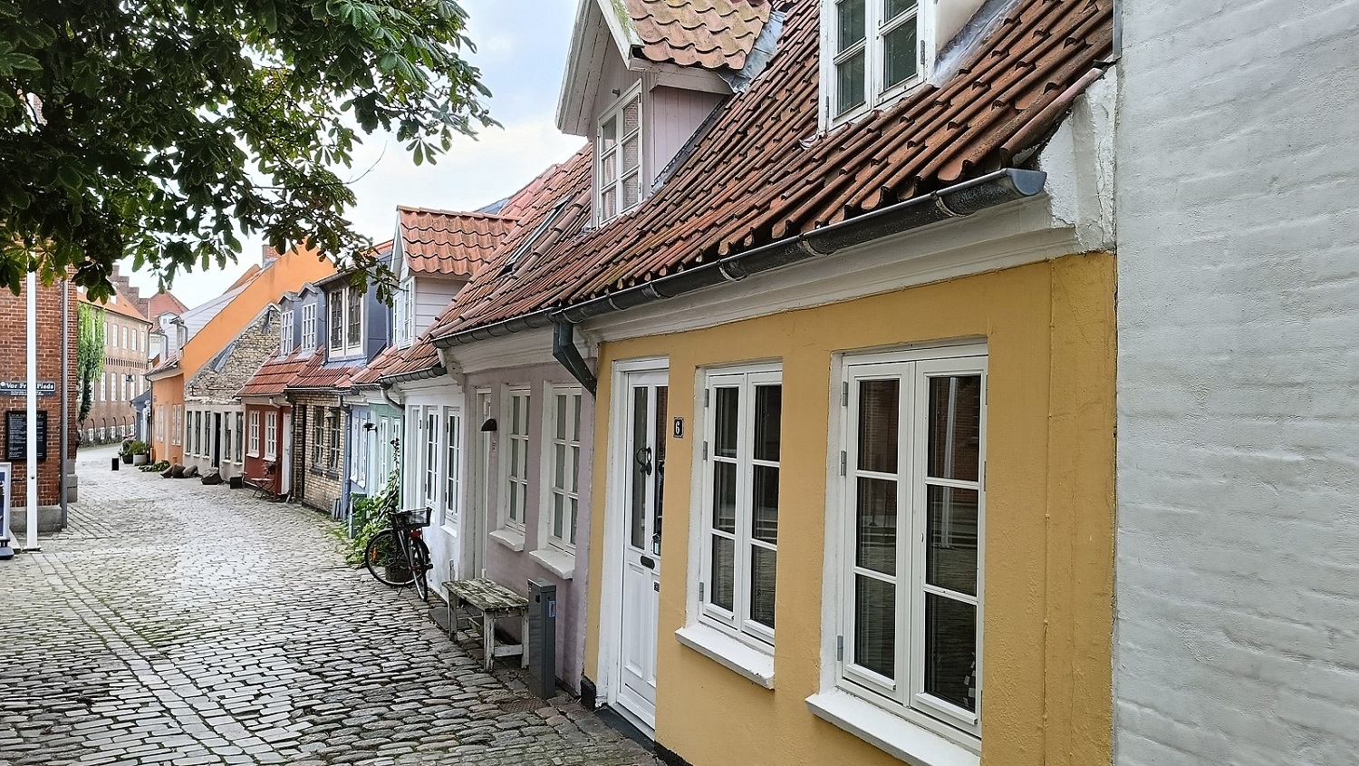 64.jpg