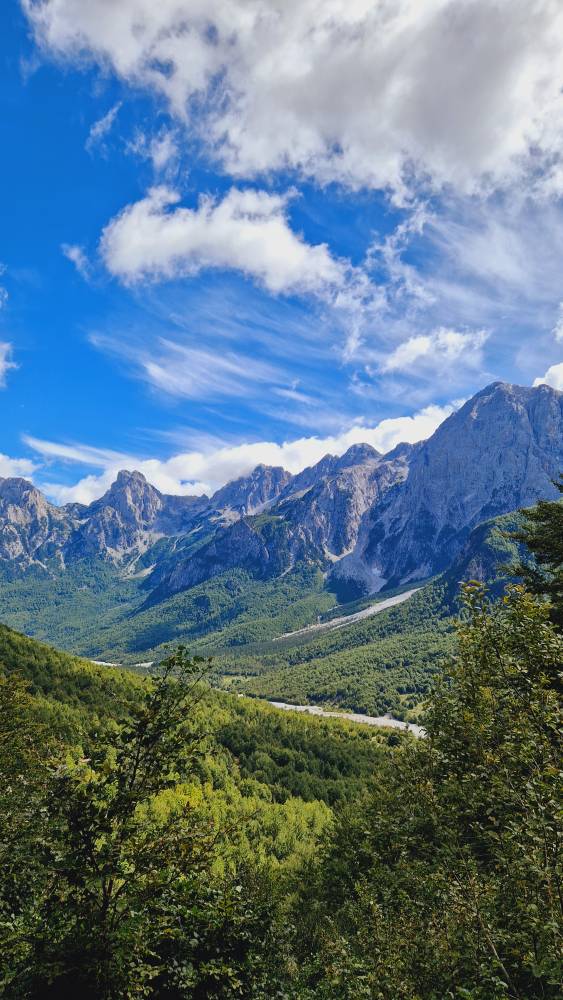 20240916_114111.jpg