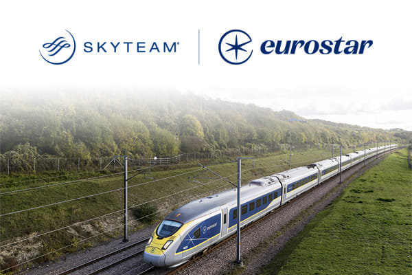 skyteam_euro.jpg