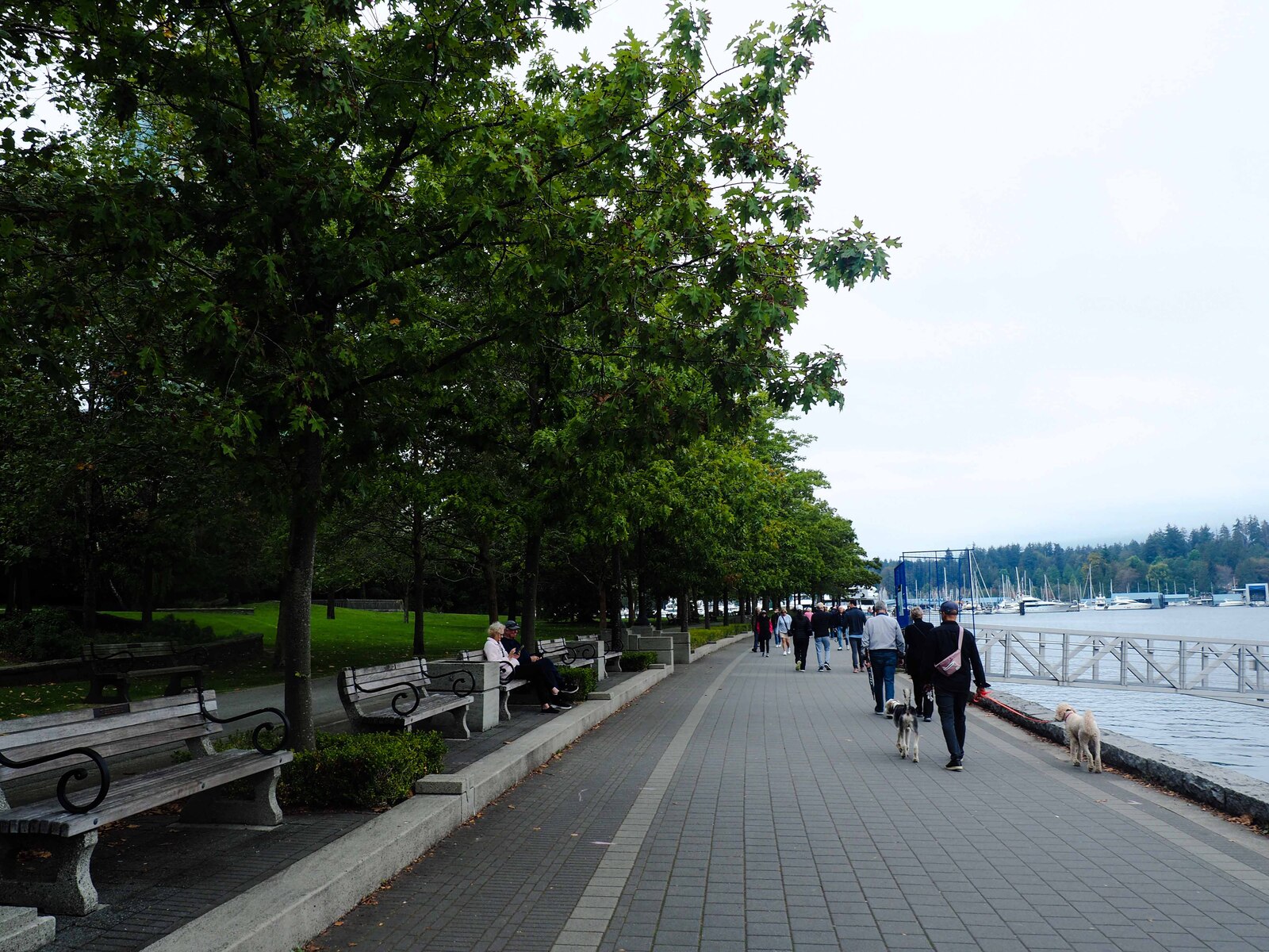 P9130091.jpg