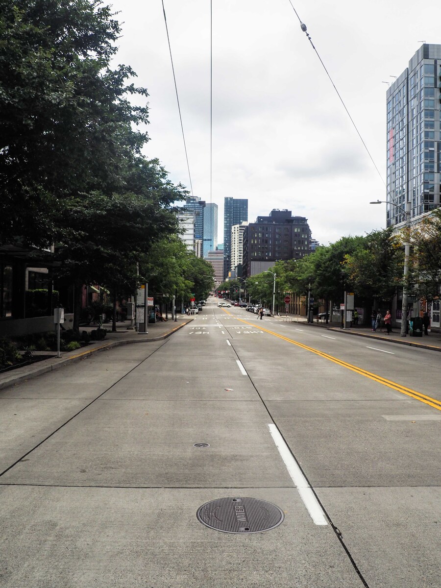 P9140144.jpg