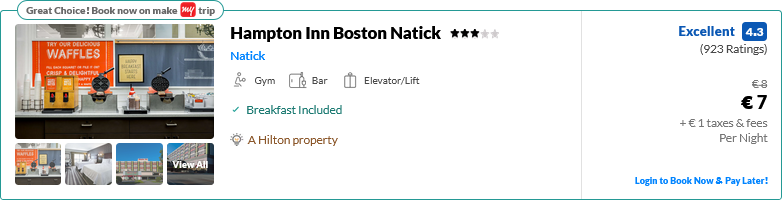hi boston natik.png
