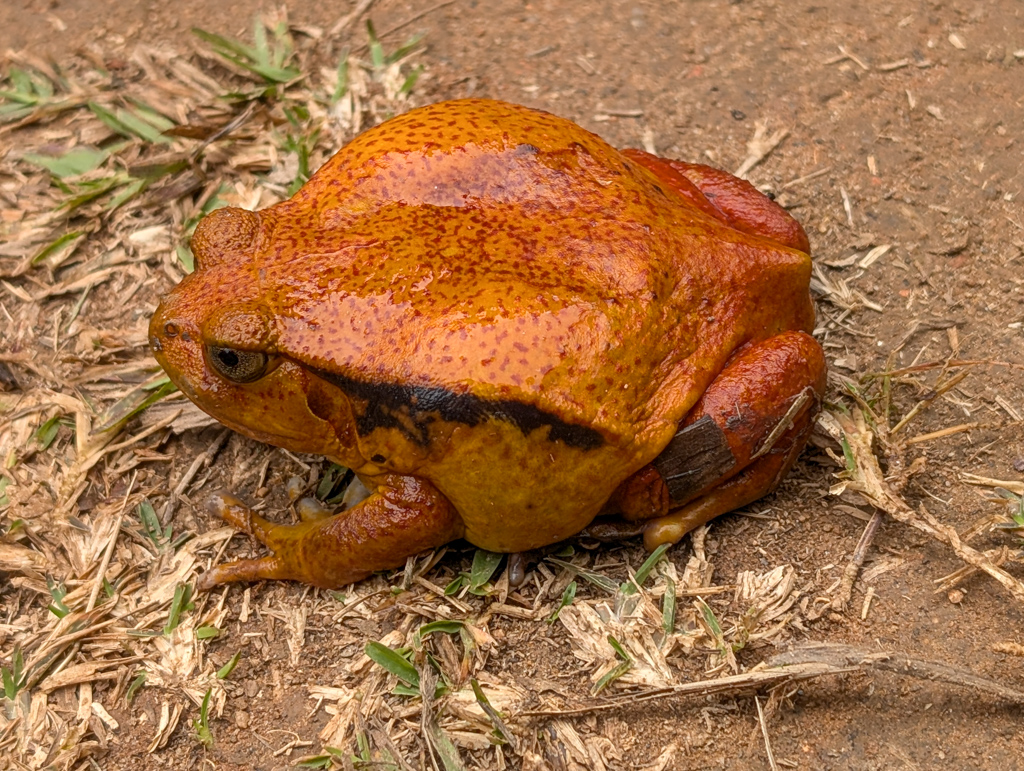madaB-20.jpg