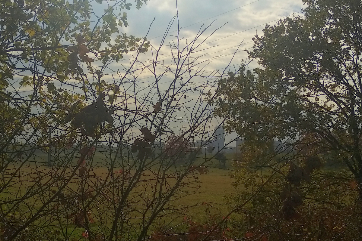 D70.jpg