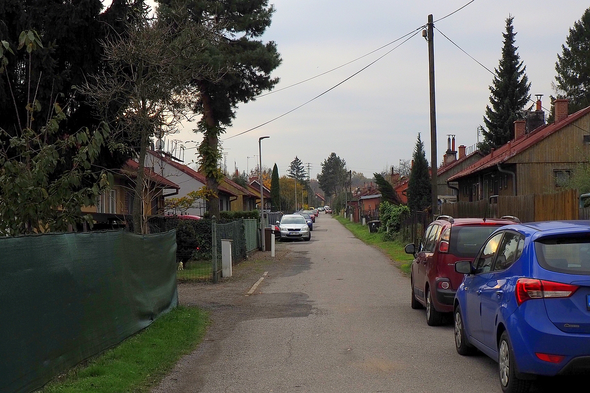 D190.jpg
