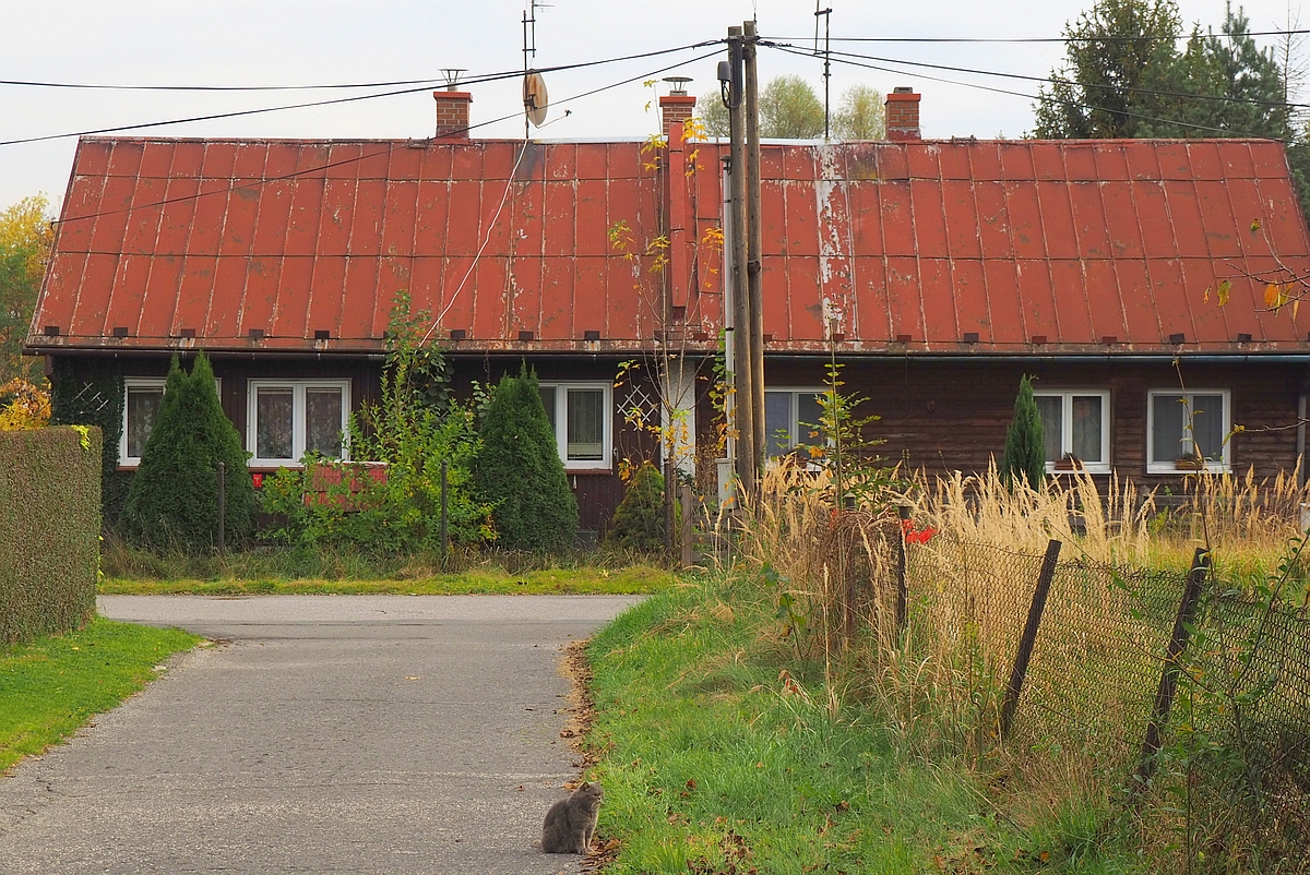 D205.jpg