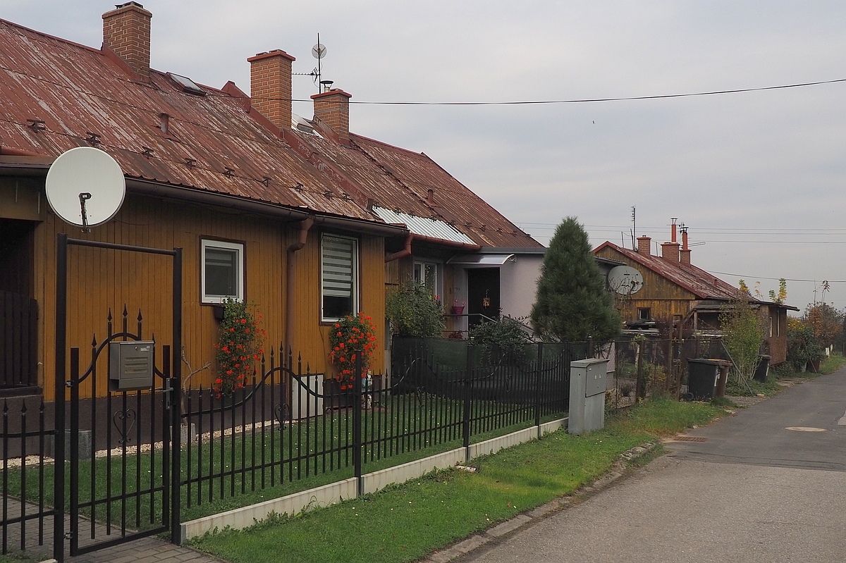 D250.jpg