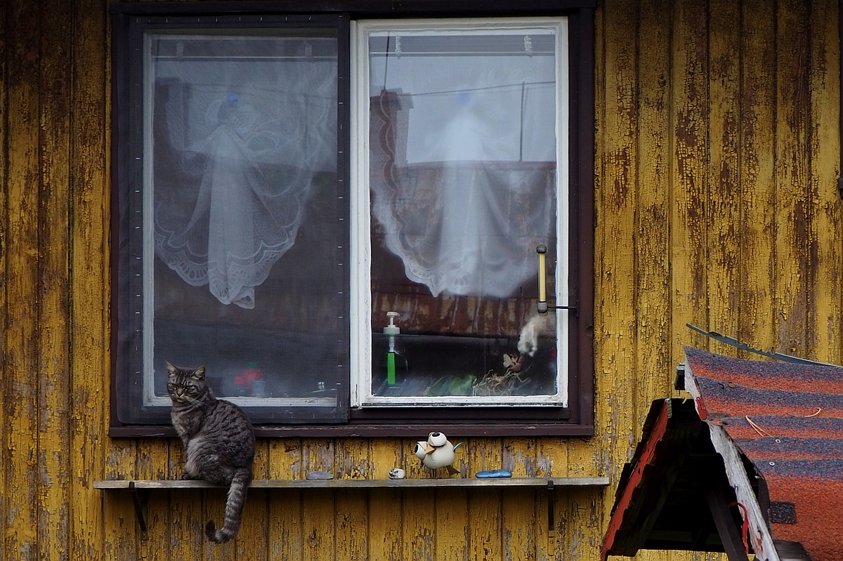 D300.jpg