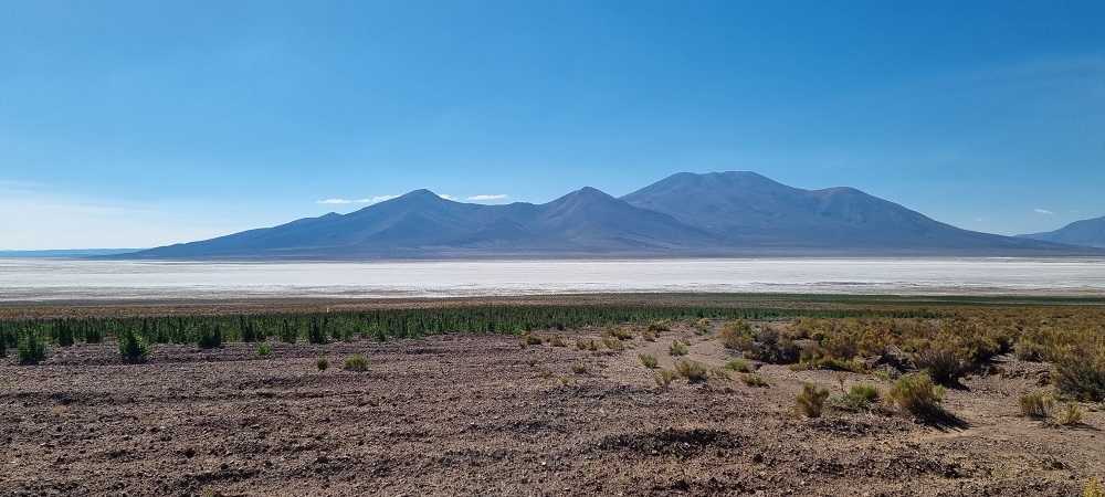 Salar3.jpg