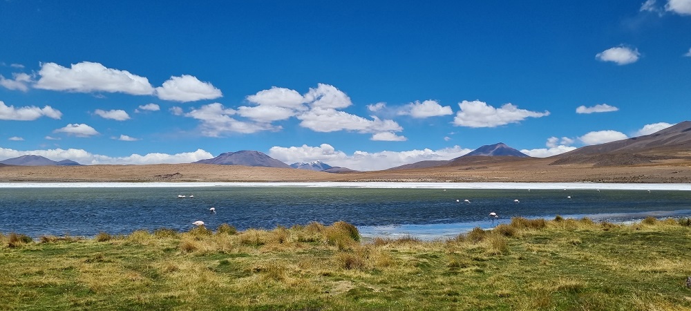 Salar8.jpg