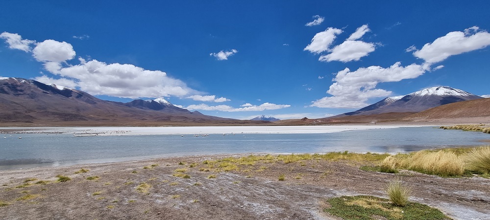 Salar11.jpg