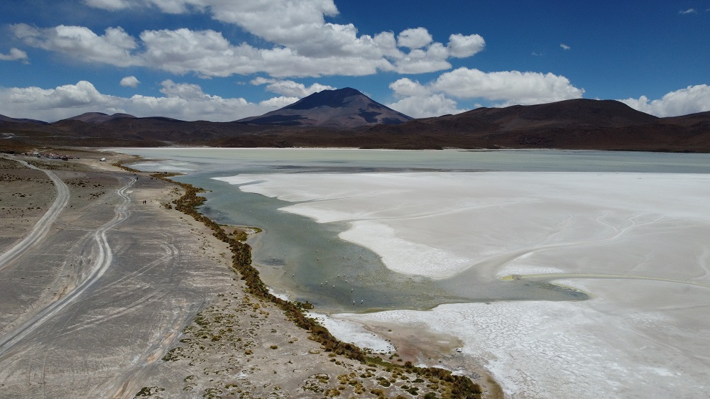 Salar12.jpg