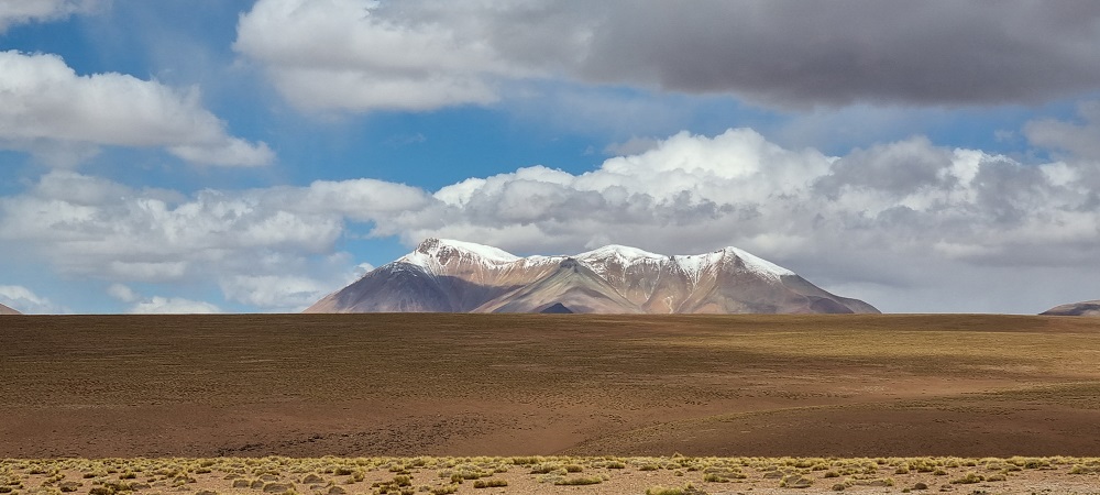 Salar14.jpg