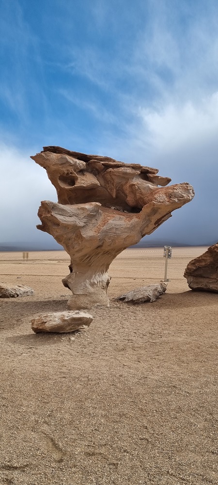 ArbolDePiedra.jpg