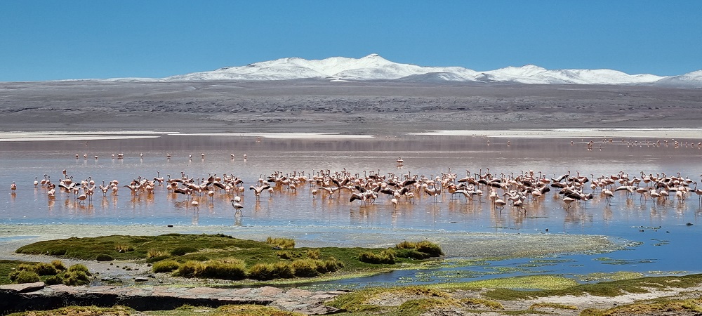 LagunaColorada6.jpg
