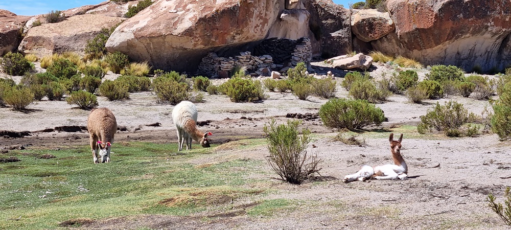 LagunaNegra1.jpg