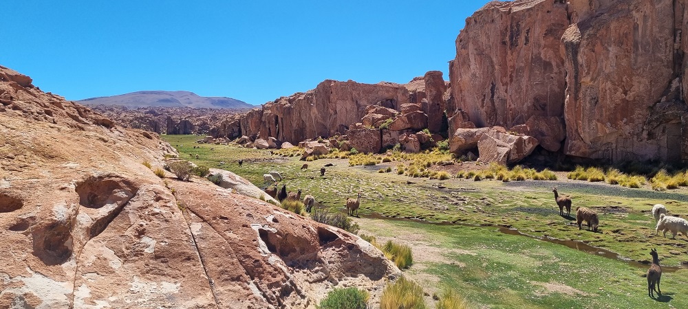LagunaNegra2.jpg