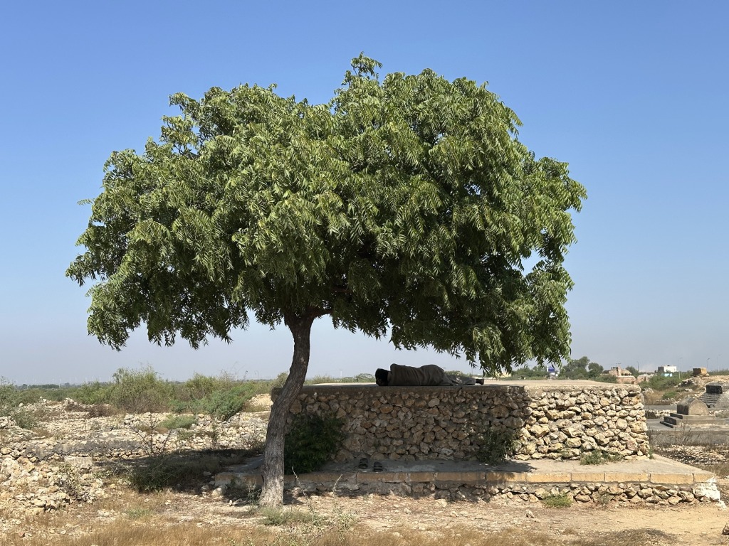 14_Makli.jpg
