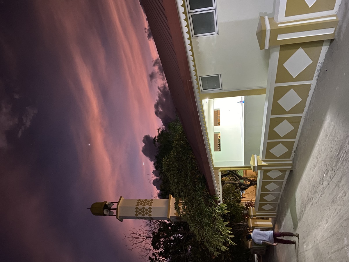 IMG_2616.JPG