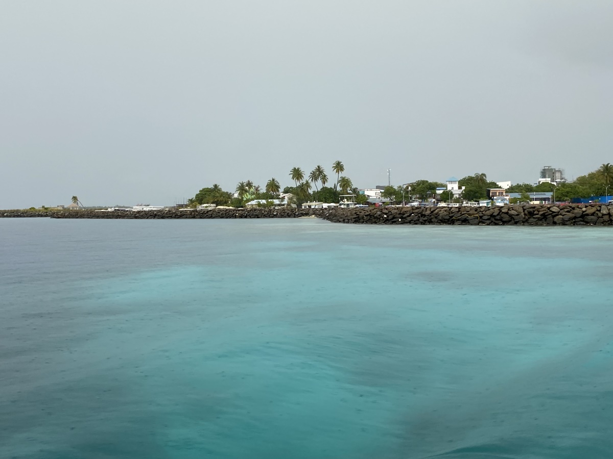 IMG_2623.JPG