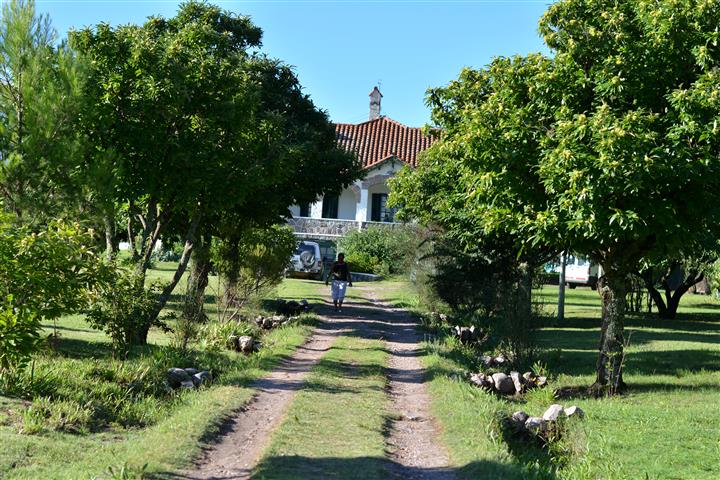 LA CUMBRE 2 (Small).JPG