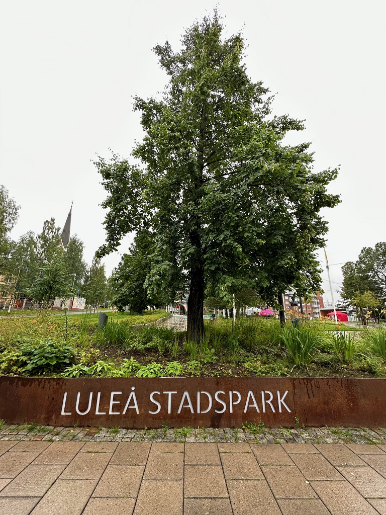 LLA018.jpg
