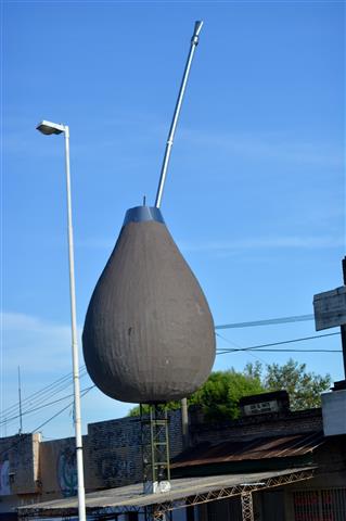 yerba 5 (Small).JPG