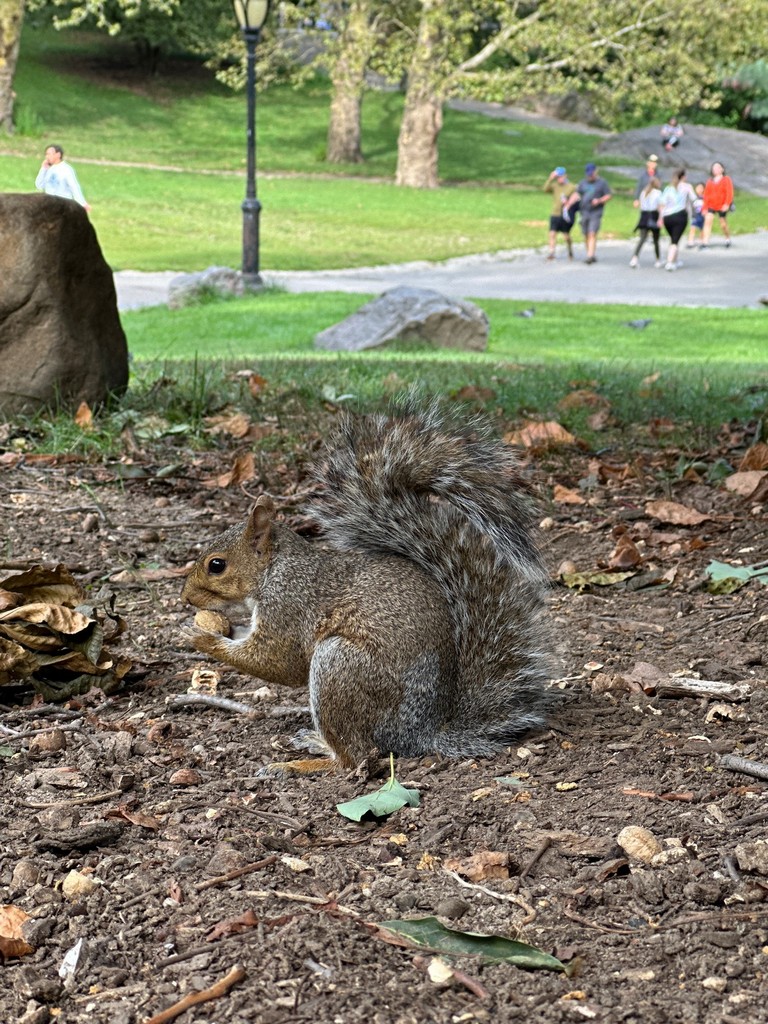 NYC013.jpg