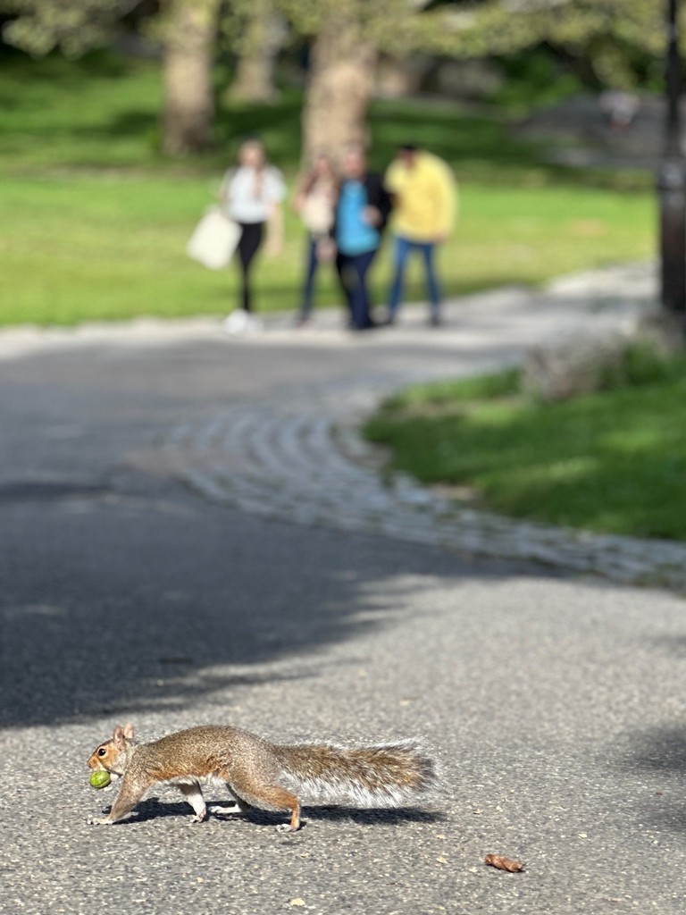 NYC014.jpg