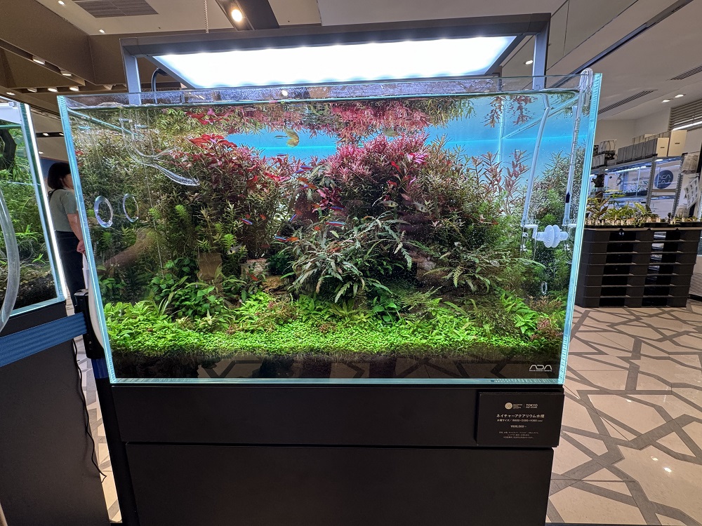 ADA4.jpg