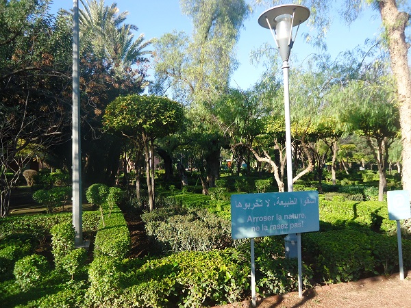 10.JPG